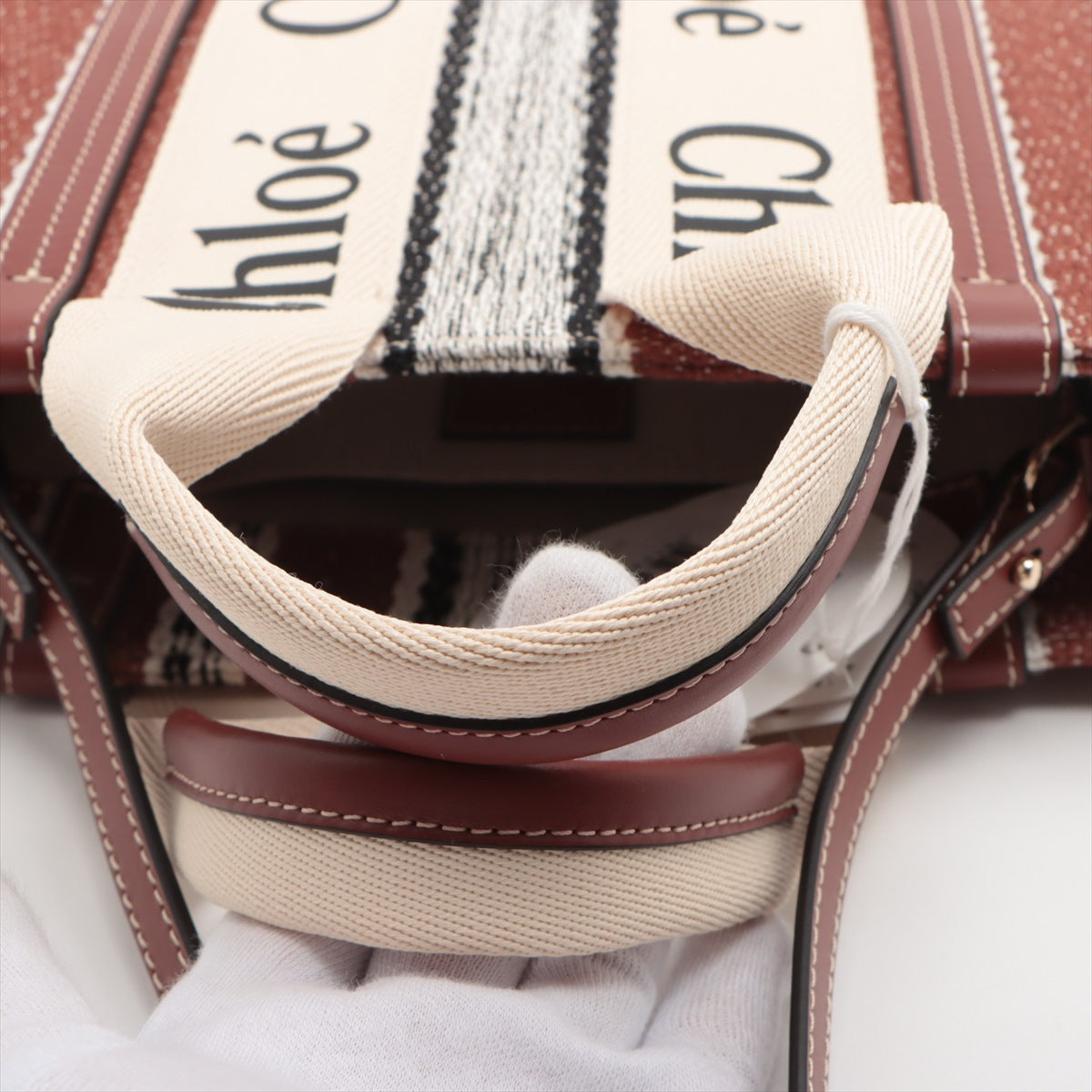 Chloe woody small Canvas & leather 2way handbag Brown